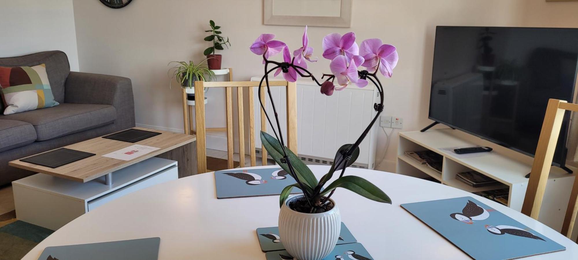 Heart Of Inverness-City Apartment Екстериор снимка